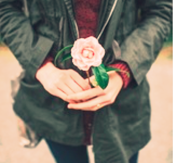 example of filter 1, looks more soft and rosy. Focus on female hands holding a rose