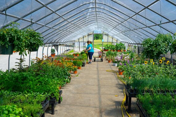 plant nursery